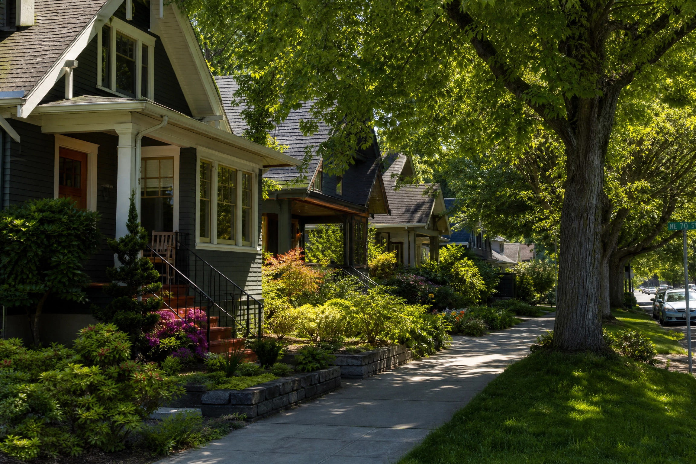 Tree-lined Seattle neighborhood street